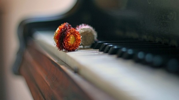 Класику молим : Избор недељног хита класичне музике