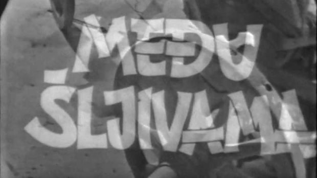 Међу шљивама