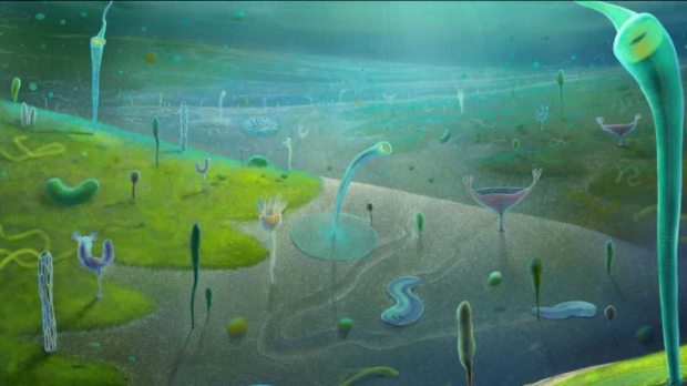 Соларис: Новости из едијакарске ере