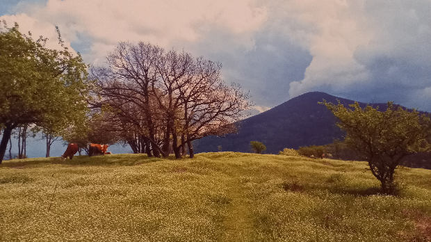 Чекајући ветар: Еколошки магазин