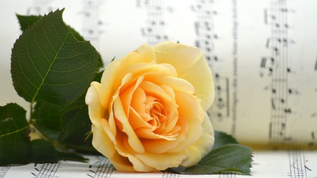 Сусретања: Цвеће као музичка инспирација