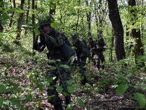 Војскa Србије – између повратка обавезног војног рока и почетка ере дигитализације и роботизације