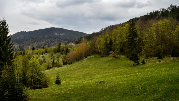 Природне лепоте и здрав живот