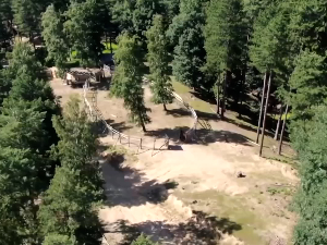 Како на Великом Јастребцу, једној од најшумовитијих планина Балкана. чувају изузетан биодиверзитет и штите ретке врсте