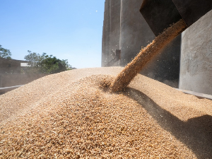 Кијев: Израел примио више пошиљки украденог украјинског жита; Брисел прети санкцијама