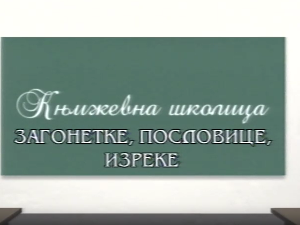 Књижевна школица:	Загонетке, пословице, изреке