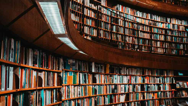 Културни кругови: Дневни магазин културе