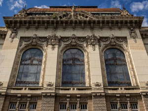 Академијски одбор САНУ: Смрт студенткиње захтева професионалну истрагу, избећи  сваки облик злоупотребе 