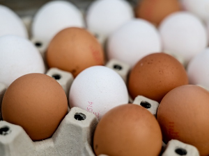 Птичји грип и велика потражња пред Ускрс – хоће ли бити довољно јаја у Немачкој за празник