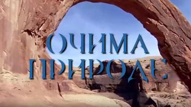 Очима природе: Игра светла и таме