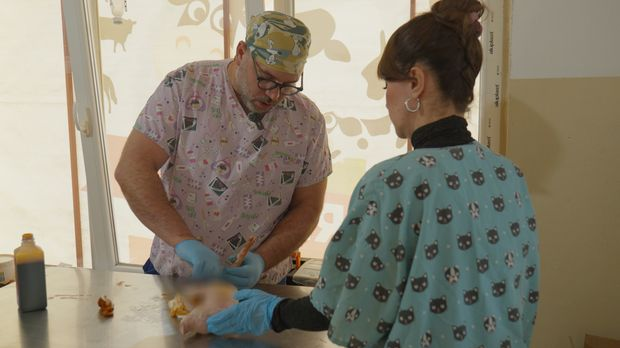 Ветеринарска мисија: Агенција за ветерину