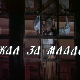 Жал за младост