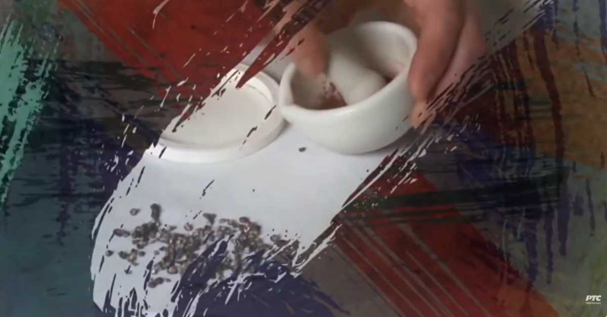 Од пигмента до концепта: Бескрајни плави круг и у њему звезда