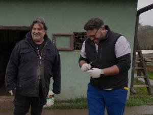 Ветеринарска мисија: Ветеринарски сервис