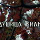 Лети, лети песмо моја мила: Постер Душице Билкић