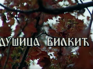 Лети, лети песмо моја мила: Постер Душице Билкић