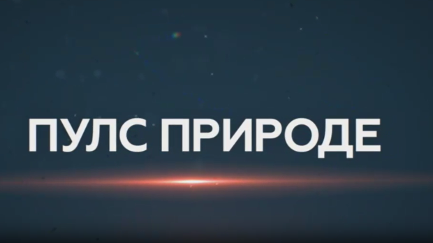 Пулс природе- Аранђеловац