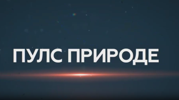 Пулс природе- Соколске планине