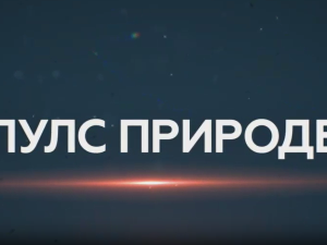 Пулс природе: Дрина сплаварење