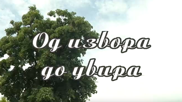 Од извора до увира