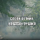 Слепи путник на броду лудака, 2. део