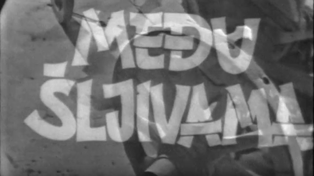 Међу шљивама