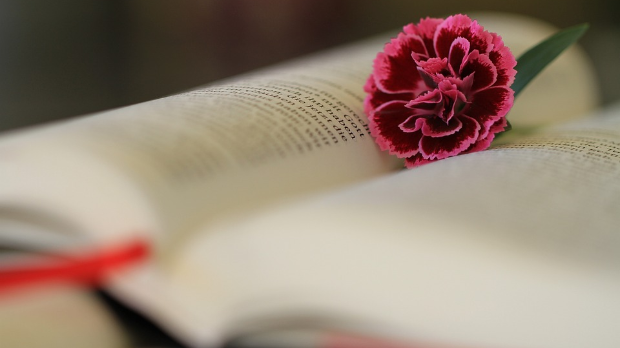 С песником у подне: Десанка Максимовић: „А и тебе то молим“