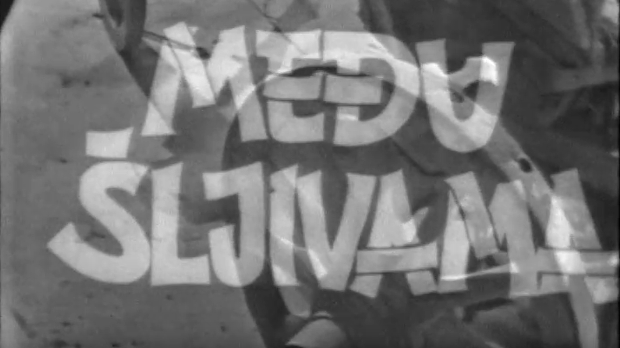 Међу шљивама