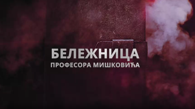 Бележница професора Мишковића, 3-12
