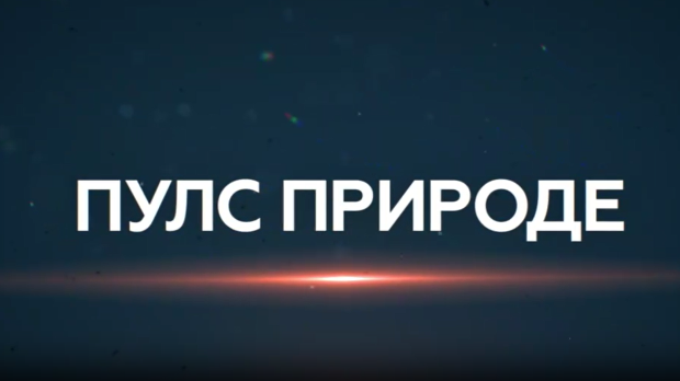 Пулс природе: Врхпоље