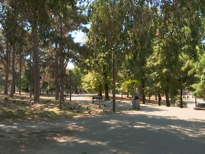 Озелењавањем против климатских промена