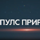 Пулс природе- Дрина, сплаварење
