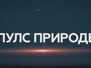 Пулс природе- Дрина, сплаварење
