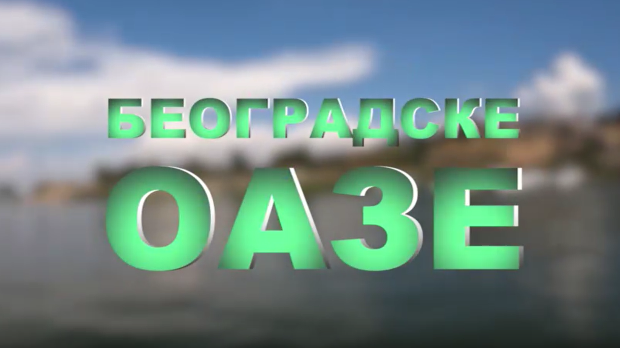 Београдске оазе – Бела стена