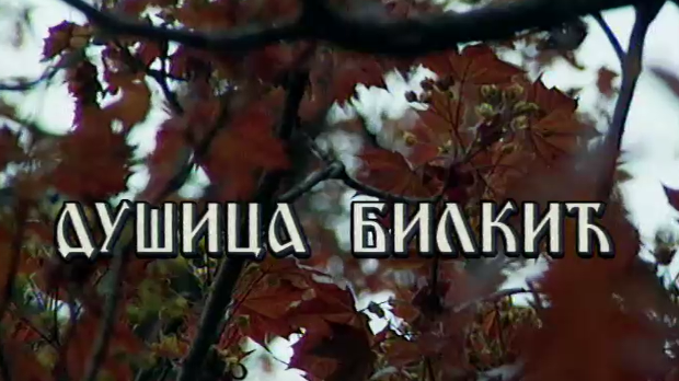 Лети, лети песмо моја мила-Постер Душице Билкић