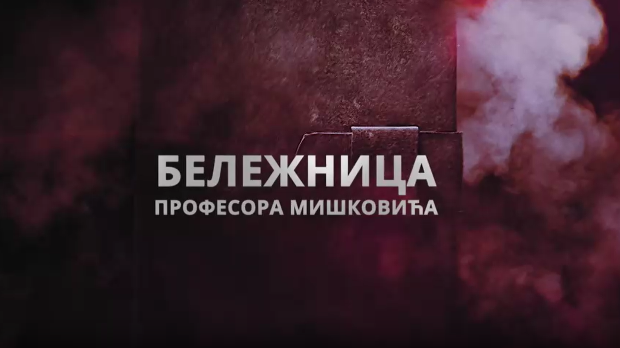 Бележница професора Мишковића, 8-12