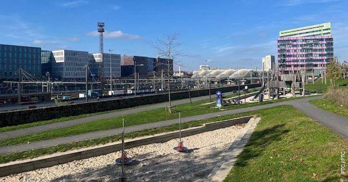 Возом по зеленој Европи: Лувен