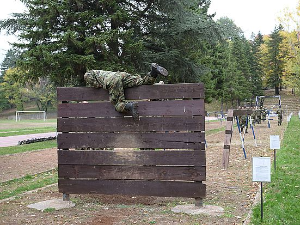 Нови конкурс за специјалце