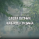 Слепи путник на броду лудака, 2. део