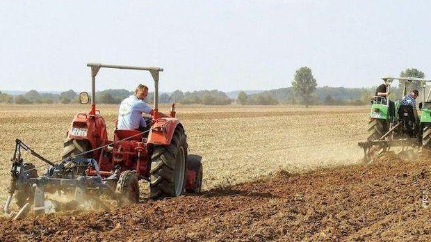 На три воде: Јутарњи програм из три студија