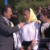 Жикина шареница 
