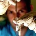 Алкохол смањује успешност вештачке оплодње
