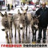 Гледаоци репортери (13.11.2009)
