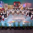 Жикина шареница