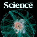 Десет најзначајнијих открића 2009. године