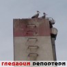 Гледаоци репортери (13.2.2010)