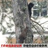 Гледаоци репортери (19.3.2010)