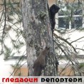 Гледаоци репортери (19.3.2010)