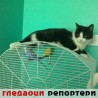 Гледаоци репортери (20.3.2010)