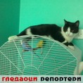 Гледаоци репортери (20.3.2010)